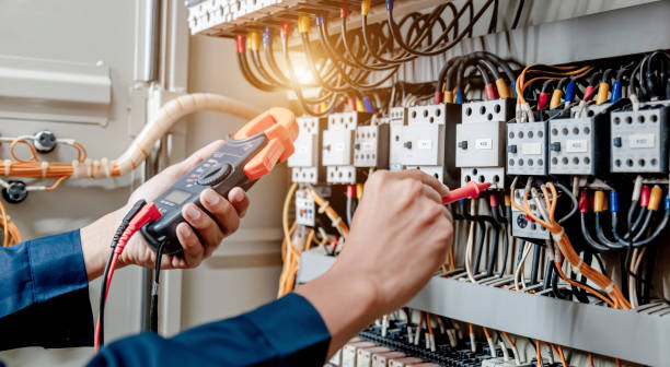 Best Affordable Electrician  in Carpentersvle, IL