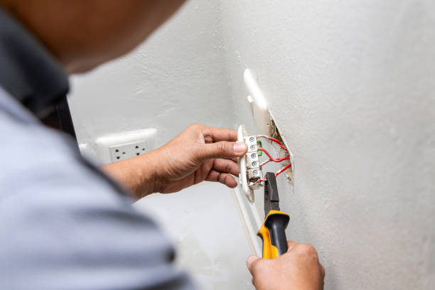 Best Electric Panel Repair  in Carpentersvle, IL