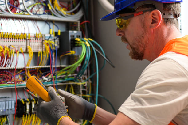 Best Electrician for Home Renovation  in Carpentersvle, IL